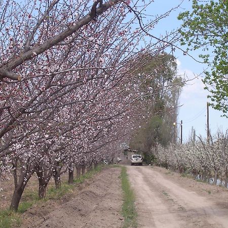 Finca La Celestita Colonia Alvear Zewnętrze zdjęcie