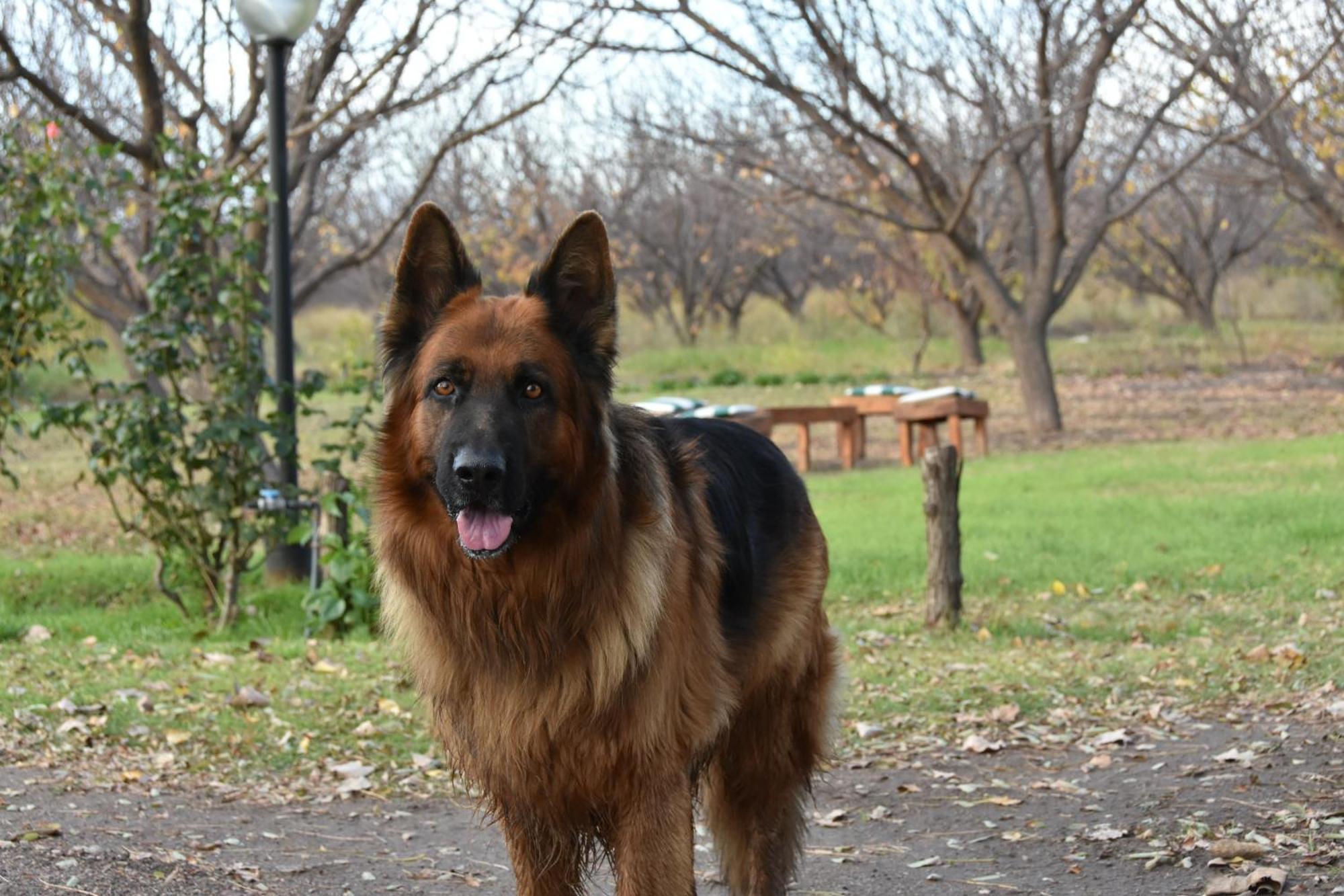 Finca La Celestita Colonia Alvear Zewnętrze zdjęcie