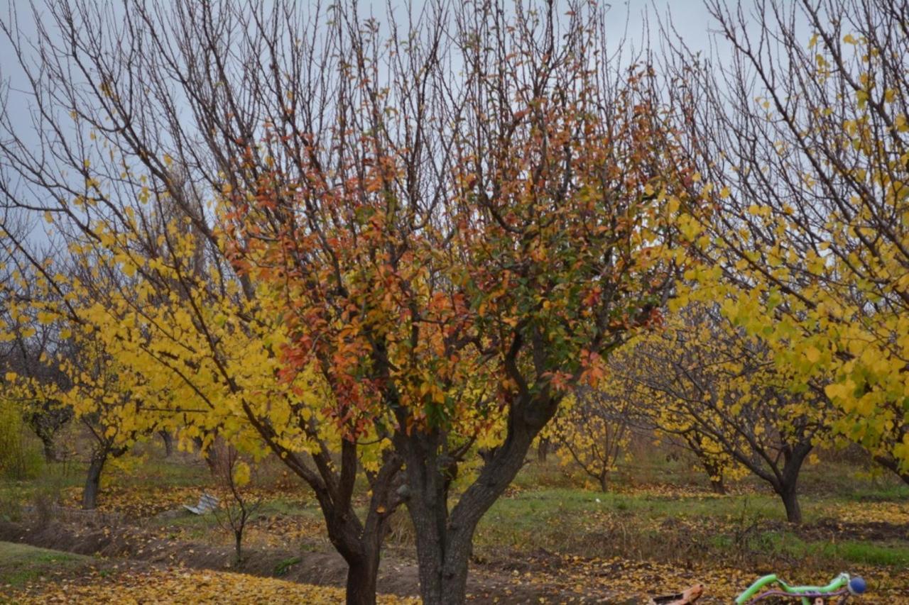 Finca La Celestita Colonia Alvear Zewnętrze zdjęcie