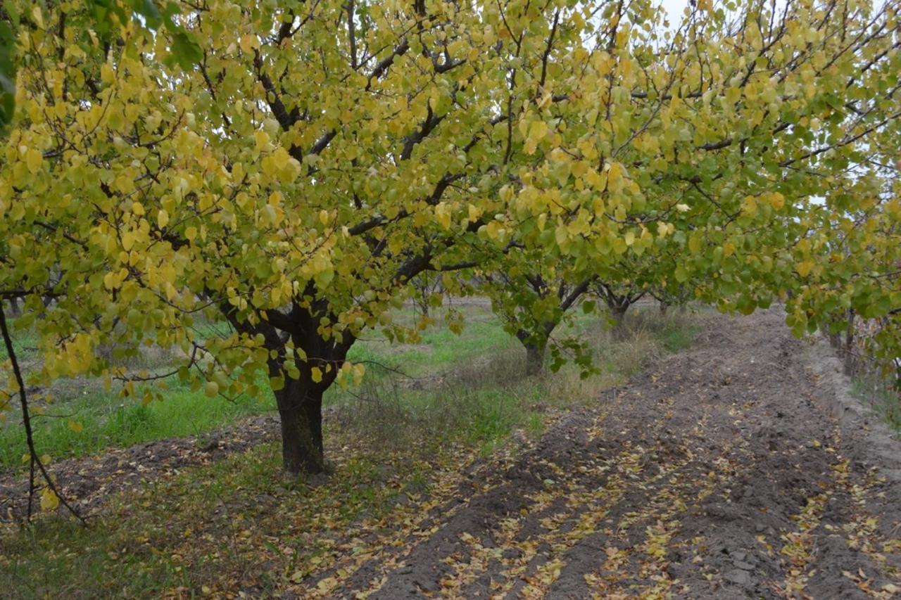 Finca La Celestita Colonia Alvear Zewnętrze zdjęcie