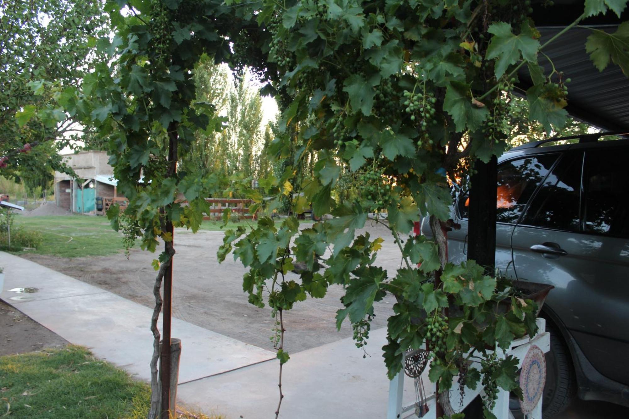Finca La Celestita Colonia Alvear Zewnętrze zdjęcie