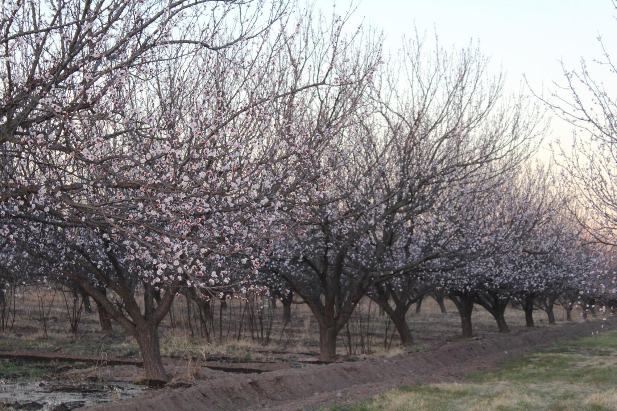Finca La Celestita Colonia Alvear Zewnętrze zdjęcie