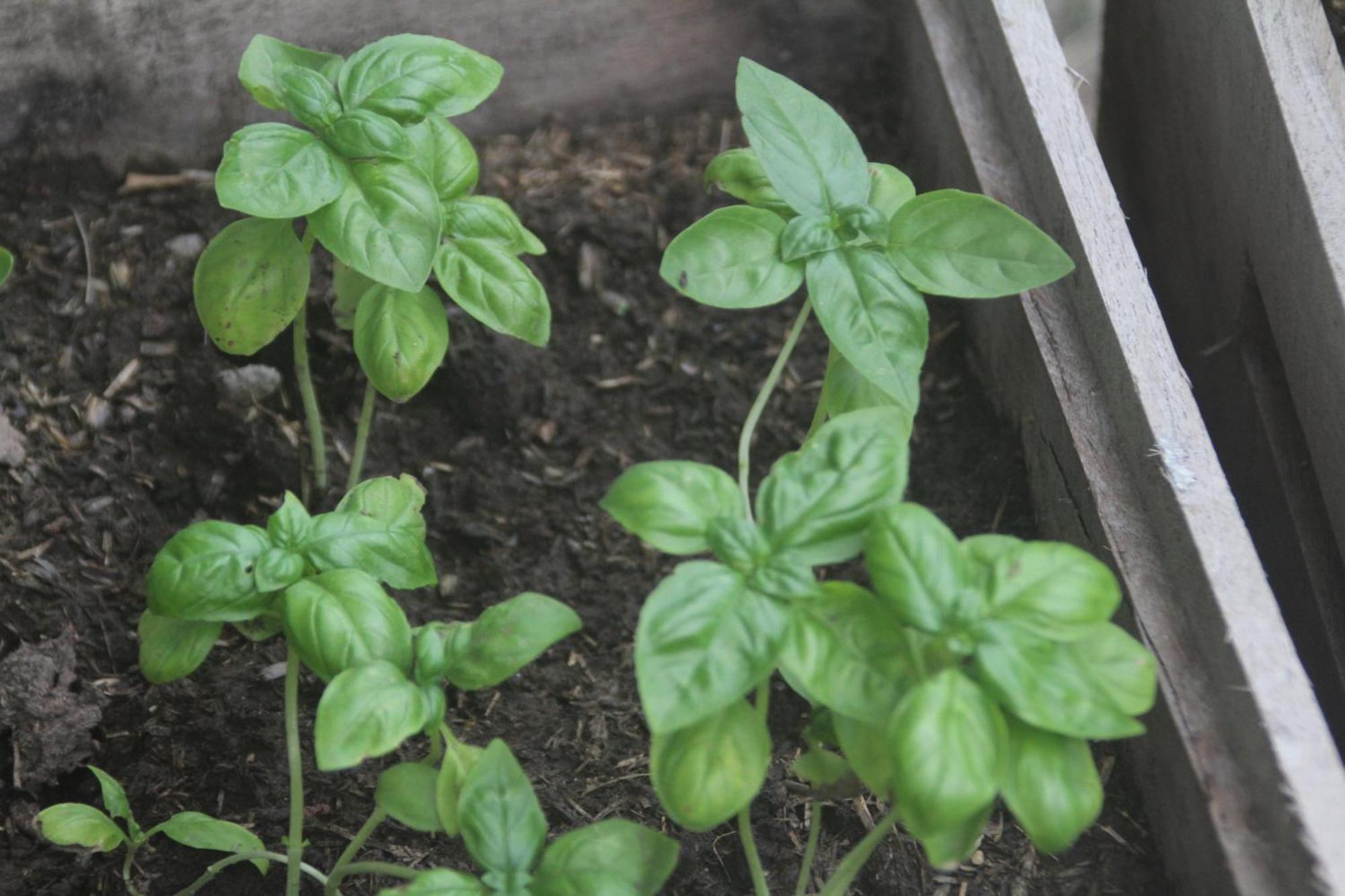 Finca La Celestita Colonia Alvear Zewnętrze zdjęcie