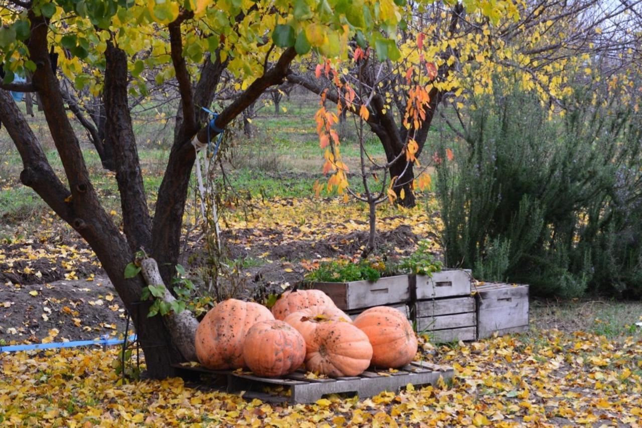 Finca La Celestita Colonia Alvear Zewnętrze zdjęcie