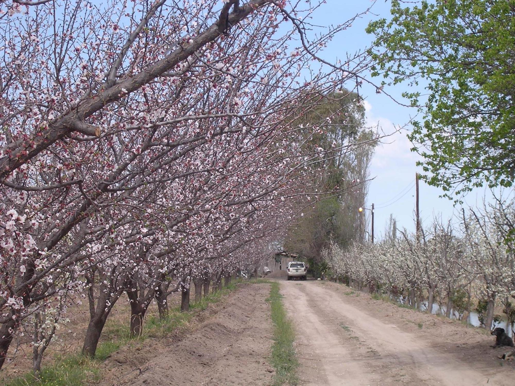 Finca La Celestita Colonia Alvear Zewnętrze zdjęcie
